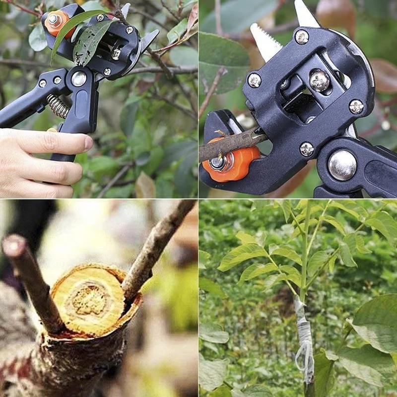 ✂️ कृषकका लागि विशेष – 3-in-1 ग्राफ्टिङ टूल, अब काट्ने र गाँज्ने एकै साथ!