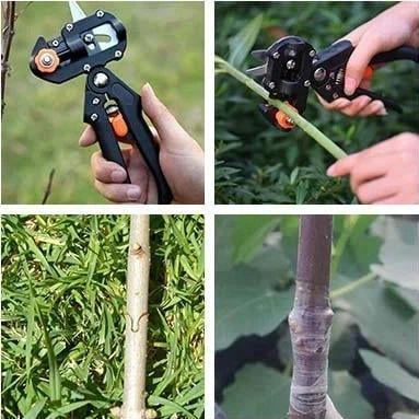 "Grow Smarter – Professional Grafting & Cutting Tool for Garden Lovers!"
