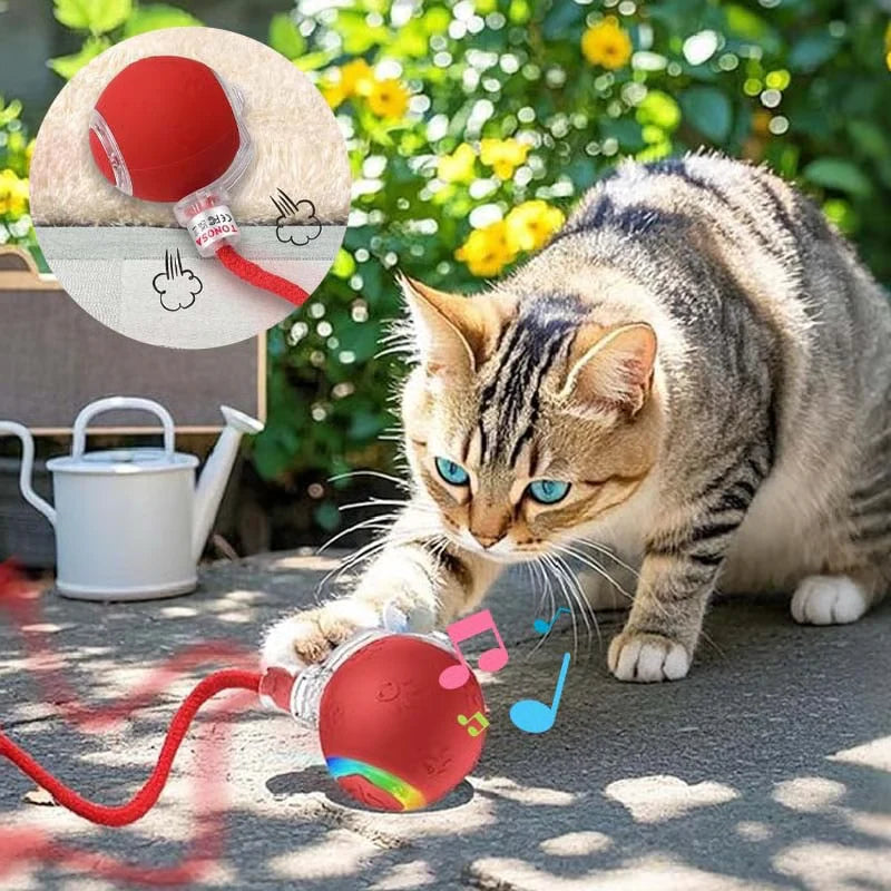 Smart Motion-Activated Cat Toy with 3 Modes & Bird Sound