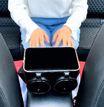 Car Armrest Storage Box
