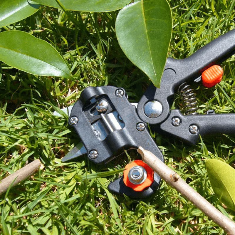 "Grow Smarter – Professional Grafting & Cutting Tool for Garden Lovers!"